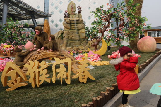 農(nóng)業(yè)嘉年華昌平開幕 京津冀共展農(nóng)業(yè)新創(chuàng)意(圖文)