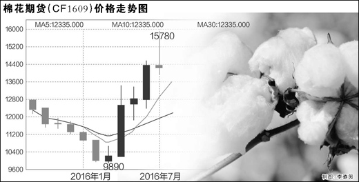 誰在助推棉價暴漲
