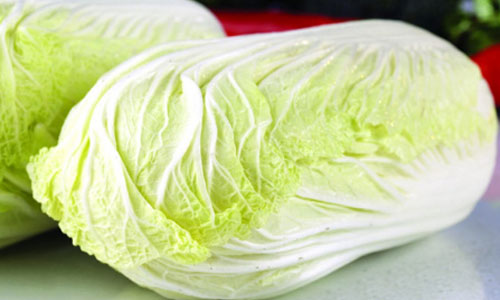 大白菜常見又低調(diào) 食療功能可不少