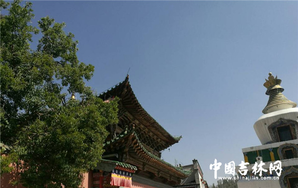 全國網(wǎng)媒記者探尋佛教圣地塔爾寺(圖文)