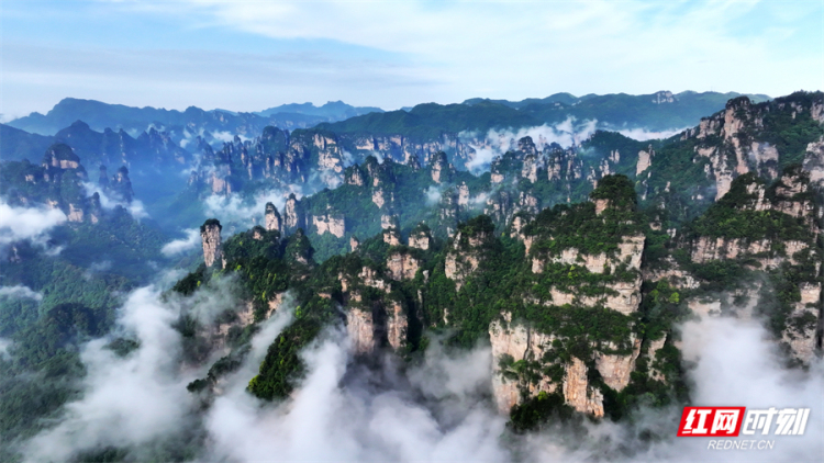 組圖丨張家界國家森林公園“立夏”迎來云海仙景_fororder_2