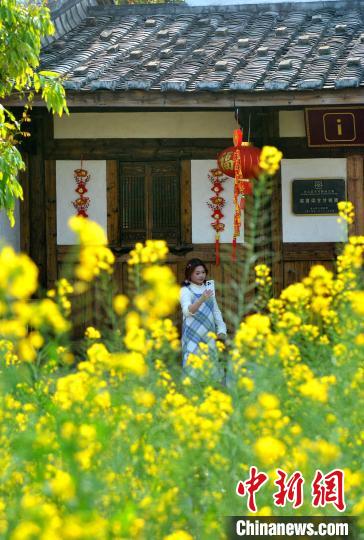 圖為游客在梁厝特色歷史文化街區(qū)游玩、賞花�！≈行戮W(wǎng)記者 呂明 攝