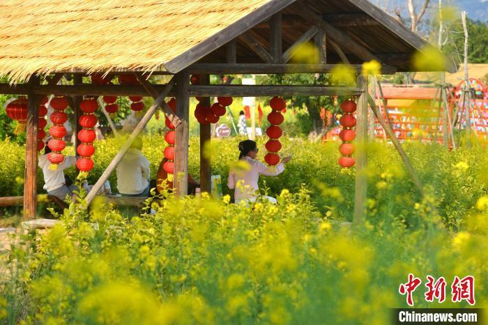 圖為游客在梁厝特色歷史文化街區(qū)游玩、賞花�！≈行戮W(wǎng)記者 呂明 攝