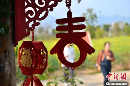 圖為游客在梁厝特色歷史文化街區(qū)游玩、賞花�！≈行戮W(wǎng)記者 呂明 攝
