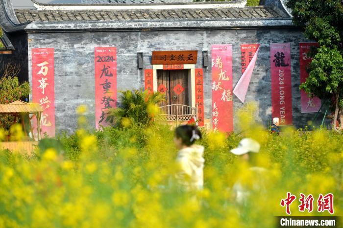 圖為游客在梁厝特色歷史文化街區(qū)游玩、賞花�！≈行戮W(wǎng)記者 呂明 攝