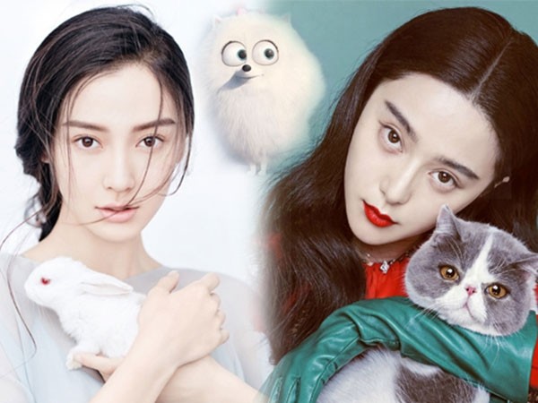 女星家的貓都要出道 范冰冰Baby與萌寵同框(圖文)