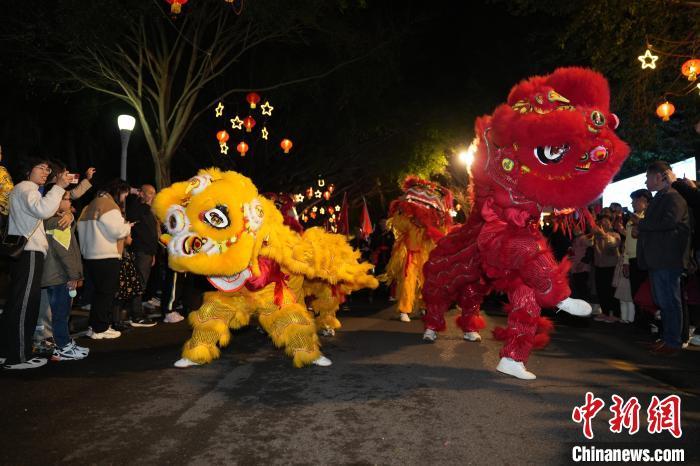 一只只金獅時(shí)而跳躍、時(shí)而翻滾，動(dòng)作神態(tài)惟妙惟肖。上杭縣融<a href=http://www.arpwindows.com target=_blank class=infotextkey>媒體</a>中心供圖