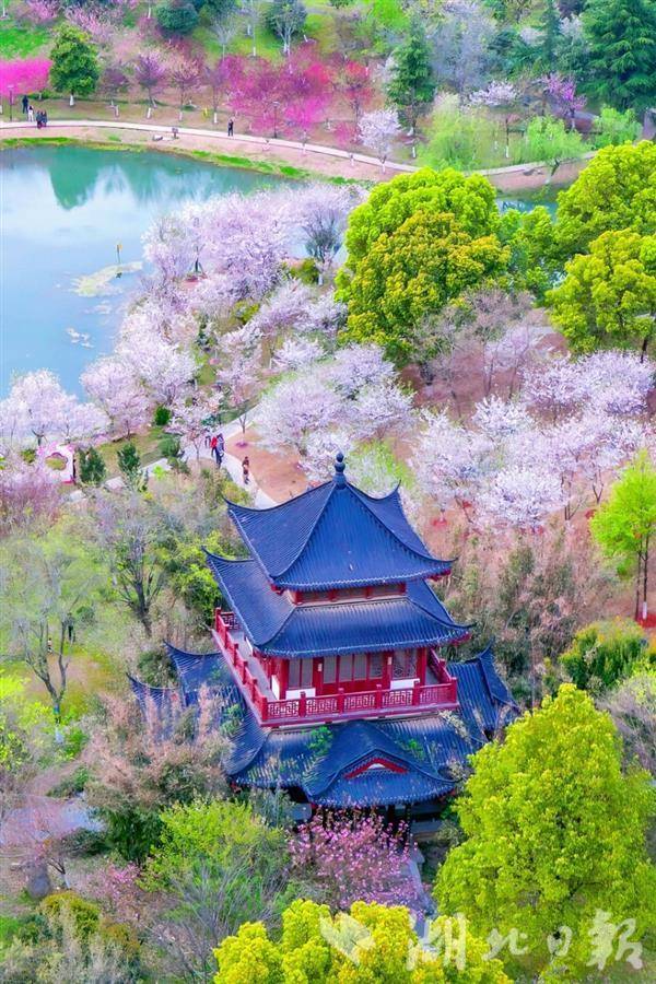 武漢評(píng)出15座“精致公園” 黃鶴樓公園等入選