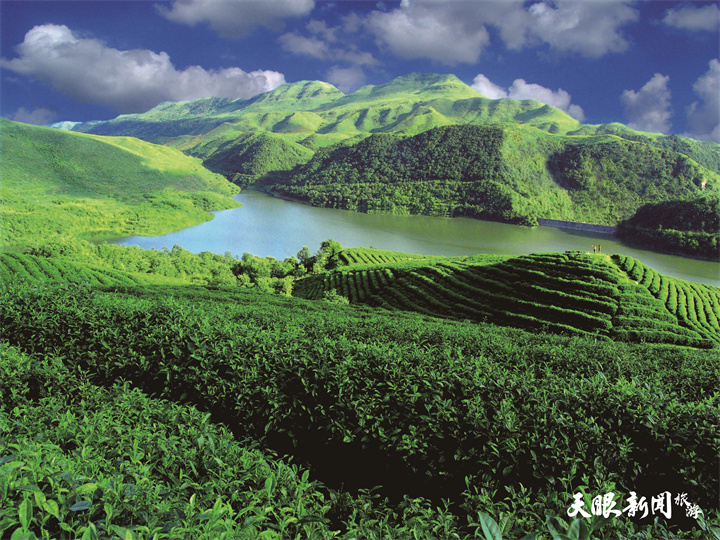目的地 最黔程 | 到貴州上茶山：品嘗春天味道