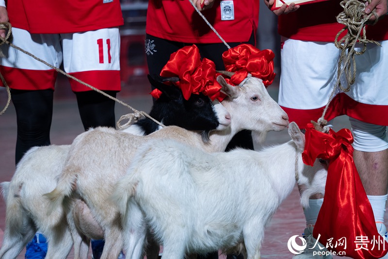 13 比賽獎品之一的榕江香羊。人民網(wǎng)記者 涂敏 攝