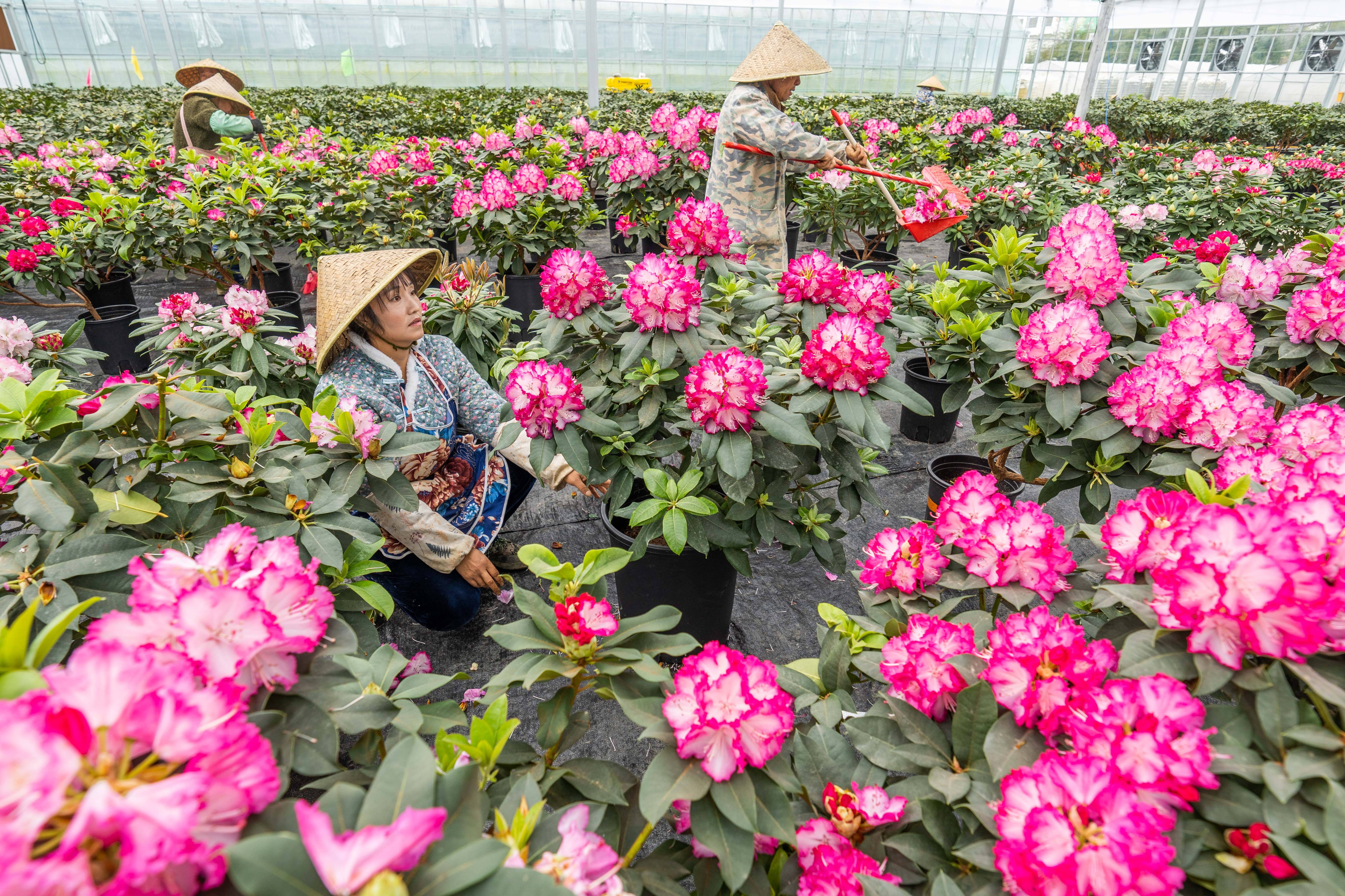 貴州畢節(jié)：科技賦能 玩出新“花”樣