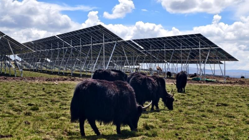四川省首個構網型儲能電站實現全容量并網投產