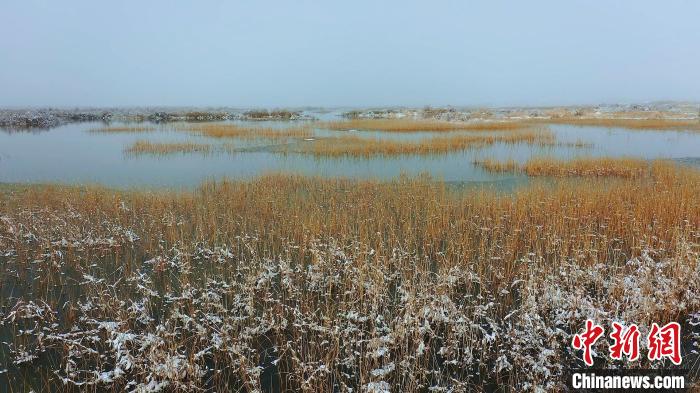 雪花散落在濕地公園中。墨玉縣融<a href=http://www.arpwindows.com target=_blank class=infotextkey>媒體</a>中心 供圖