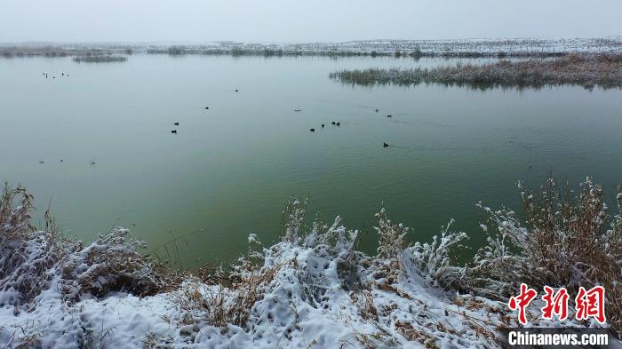 雪后的濕地公園一片寧?kù)o。墨玉縣融<a href=http://www.arpwindows.com target=_blank class=infotextkey>媒體</a>中心 供圖