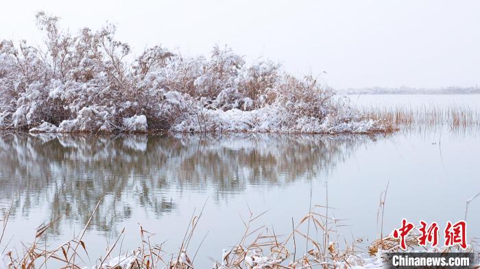 新疆墨玉：雪后拉里昆國(guó)家濕地公園美輪美奐