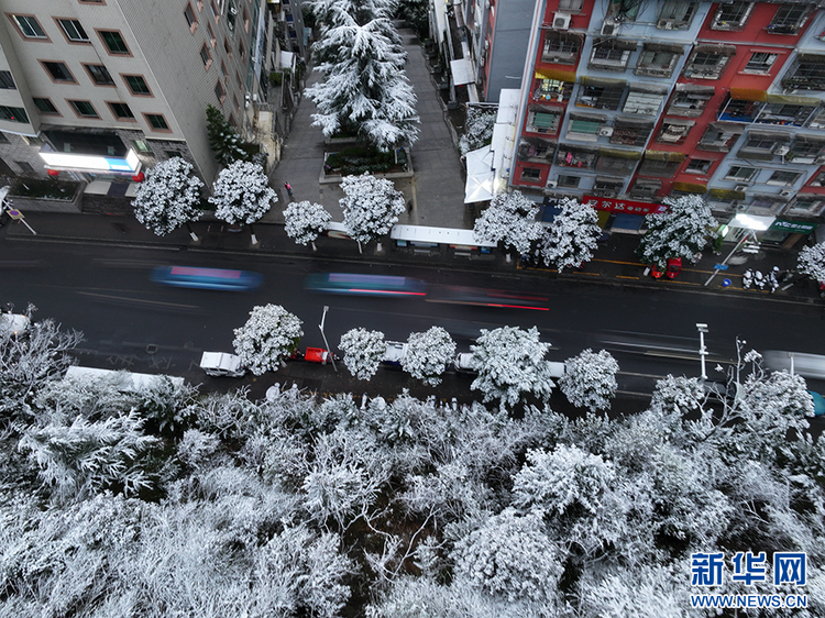 瞰！三峽春雪