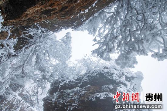 2月26日，在貴州省道真自治縣大沙河國家級(jí)自然保護(hù)區(qū)內(nèi)拍攝的雪景。