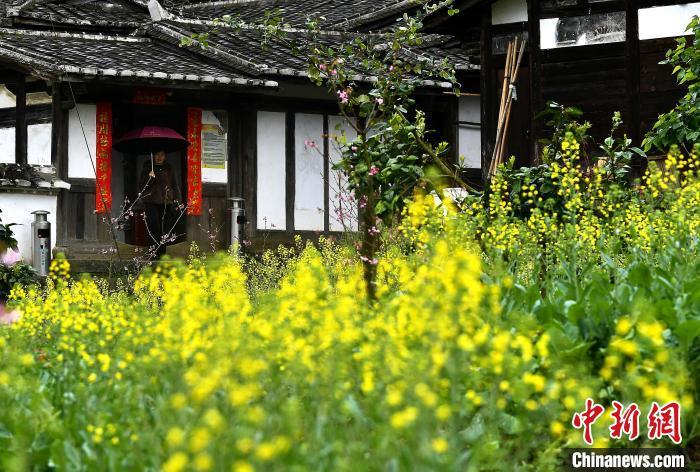 圖為2月25日，游客在永安市吉山村參觀游玩�！≈行戮W(wǎng)記者 張斌 攝