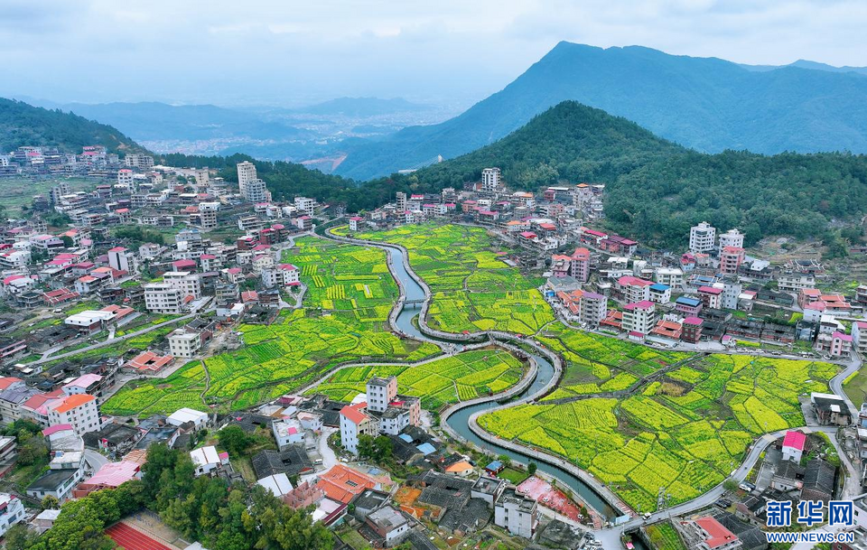 福建泉州：陽(yáng)春三月 春暖花開