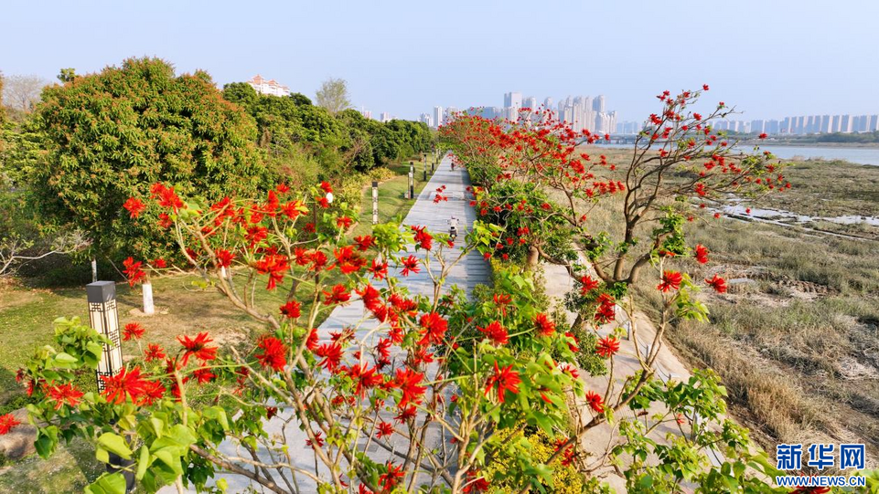 福建泉州：陽(yáng)春三月 春暖花開