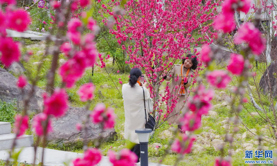 福建泉州：陽(yáng)春三月 春暖花開