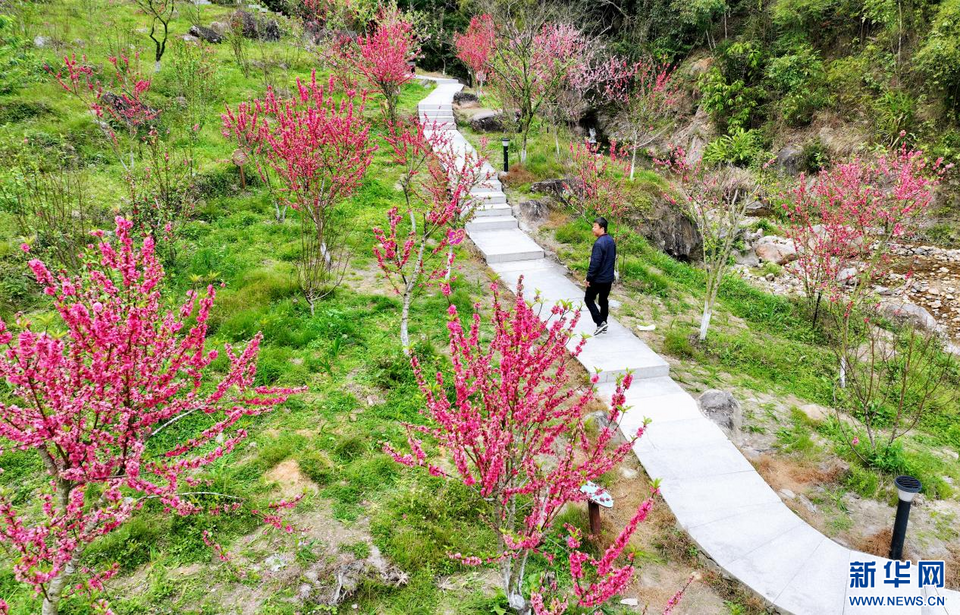 福建泉州：陽(yáng)春三月 春暖花開
