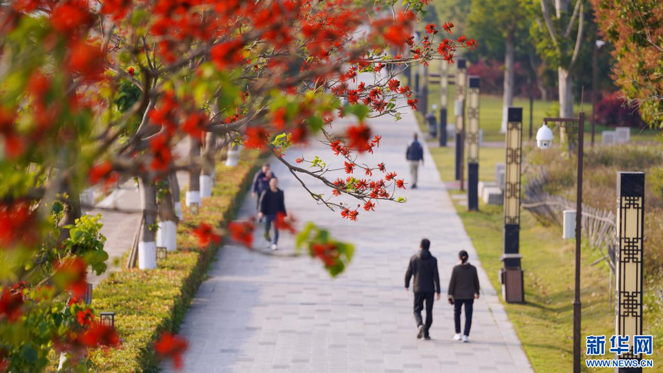 福建泉州：陽(yáng)春三月 春暖花開