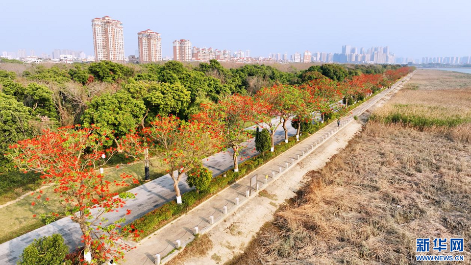 福建泉州：陽(yáng)春三月 春暖花開