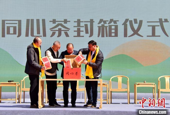 圖為3月20日，兩岸嘉賓在活動上舉行同心茶封箱儀式。　中新網(wǎng)記者 張斌 攝