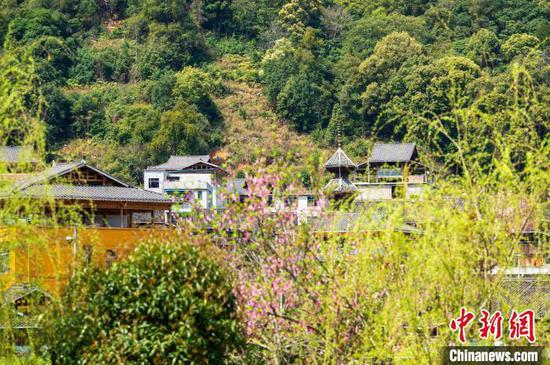 位于貴州省從江縣丙梅街道的鑾里侗寨春意盎然。吳德軍 攝