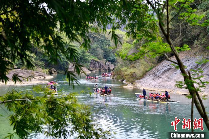 3月21日，游人乘坐竹筏在武夷山國家公園九曲溪上游覽。　中新網(wǎng)記者 張斌 攝