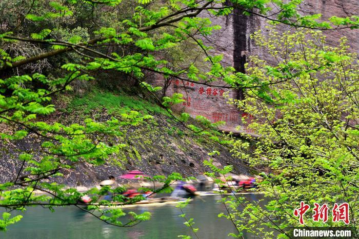 3月21日，武夷山國家公園滿目蒼翠，溪流蜿蜒，展示了人與自然和諧共生的美好畫卷。　中新網(wǎng)記者 張斌 攝