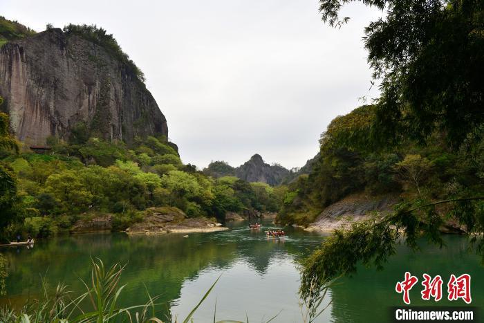 3月21日，主要范圍位于福建省南平市的武夷山國家公園滿目蒼翠，溪流蜿蜒，展示了人與自然和諧共生的美好畫卷�！≈行戮W(wǎng)記者 張斌 攝