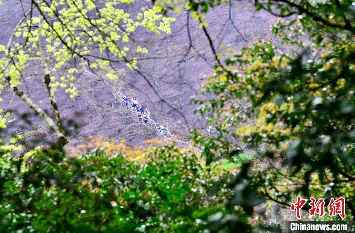 3月21日，游人在武夷山國家公園天游峰景區(qū)登山賞景�！≈行戮W(wǎng)記者 張斌 攝