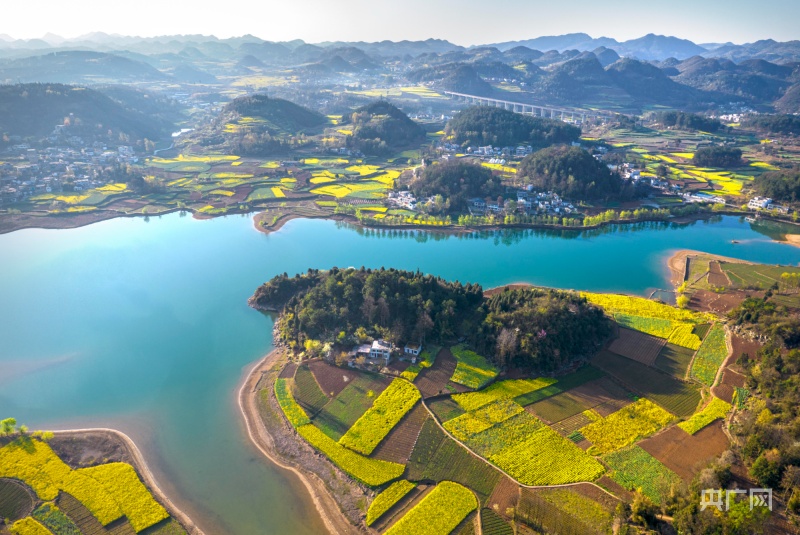 貴州黔西：油菜花海美如畫 醉享春日好風(fēng)光