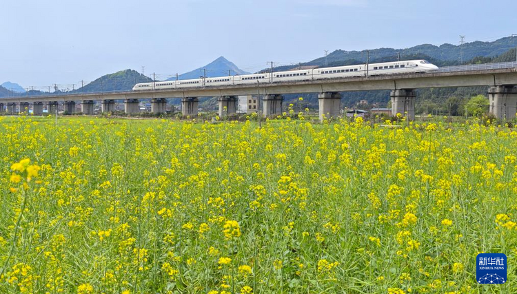 春滿八桂大地