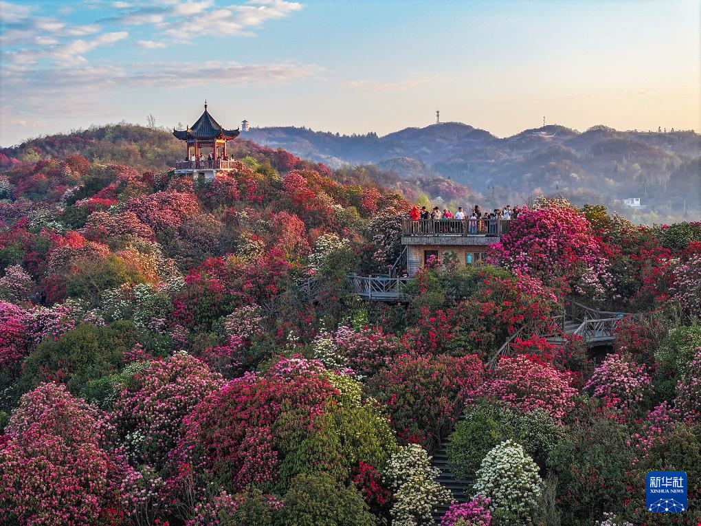 春花爛漫踏青時(shí)