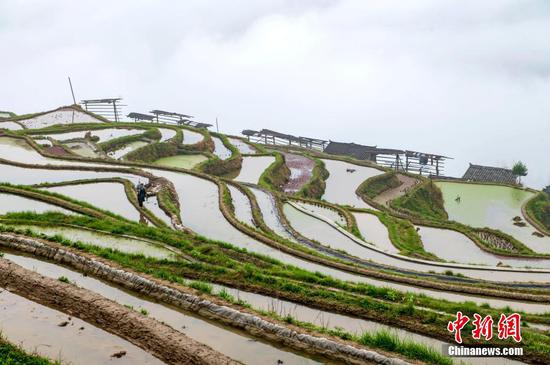 貴州省從江縣加榜梯田。