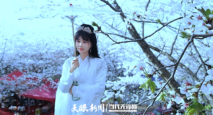 滿山遍野盡芳菲 黃臘仙境人流連