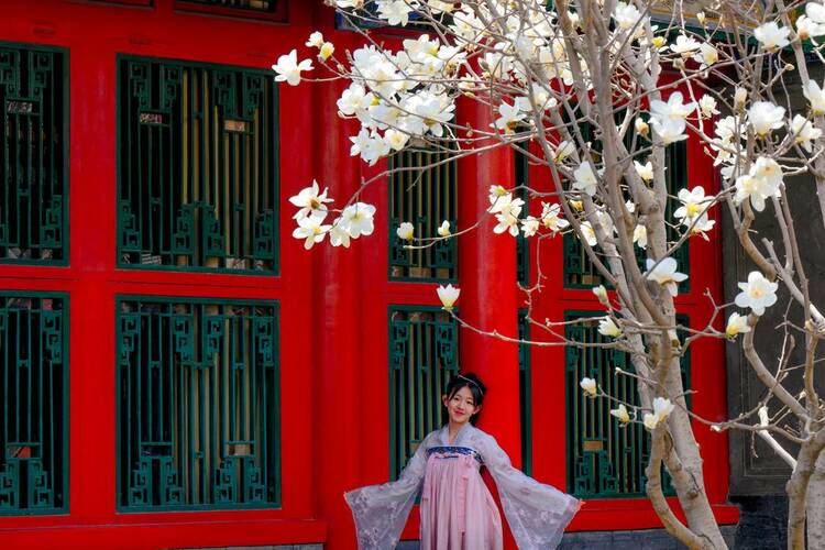 沈陽故宮：宮里賞花，春光正好