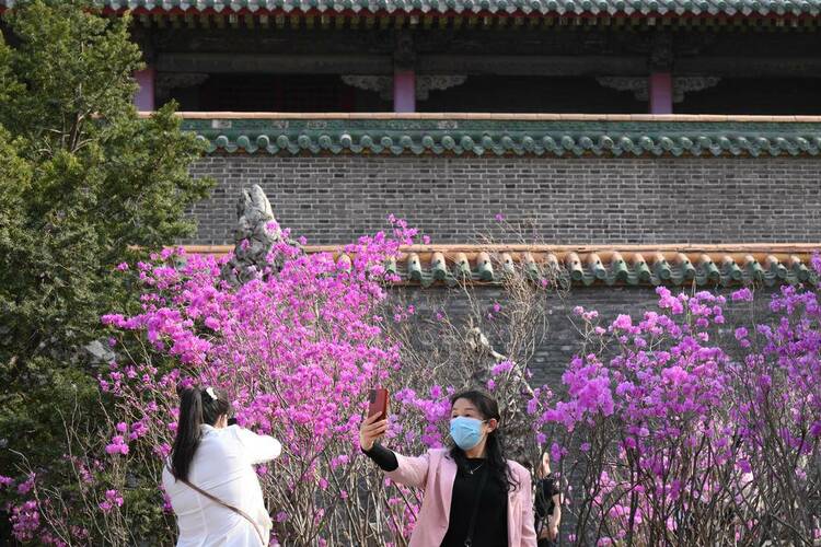 沈陽故宮：宮里賞花，春光正好