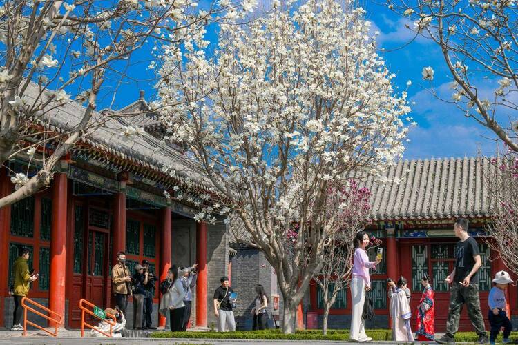 沈陽故宮：宮里賞花，春光正好