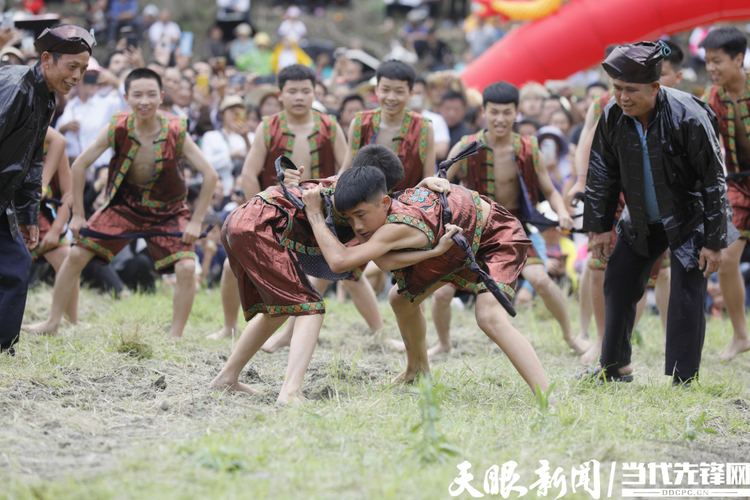黎平“摔跤節(jié)：節(jié)日里盛開的民族團(tuán)結(jié)之花