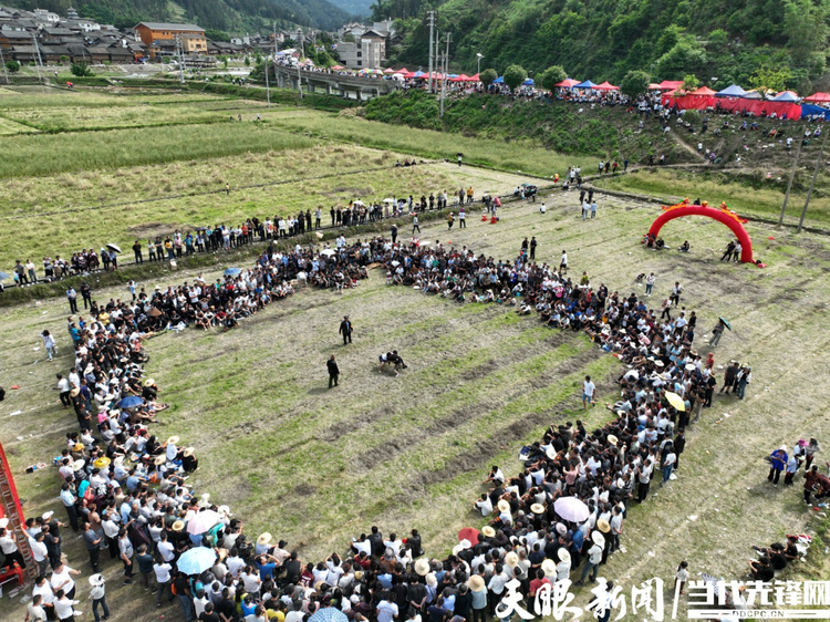 黎平“摔跤節(jié)：節(jié)日里盛開的民族團(tuán)結(jié)之花