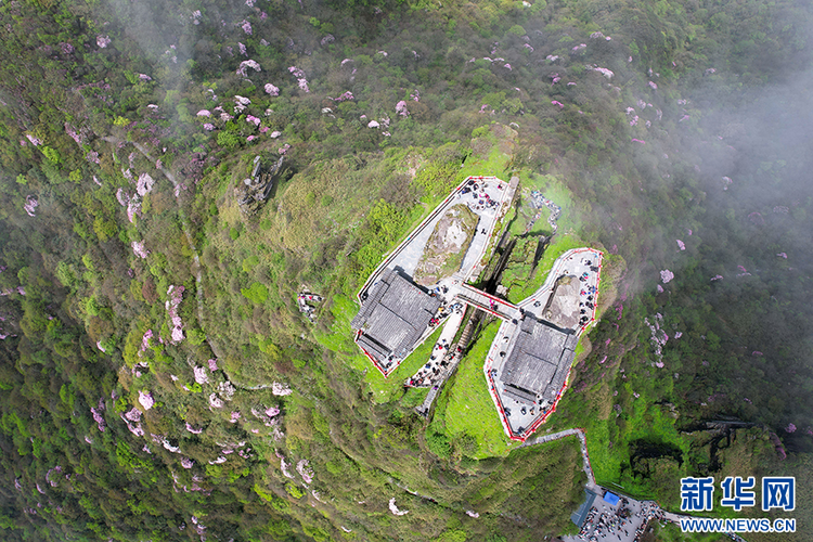 貴州梵凈山：繁花似錦醉游人
