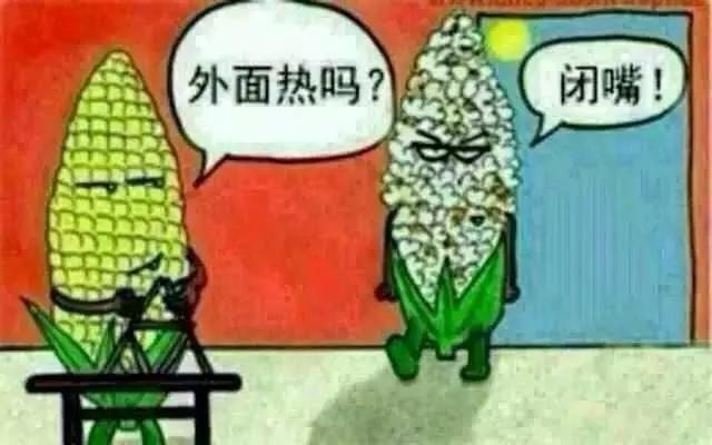 溫度直逼40度！揭秘明星高溫拍戲降溫防暑六大絕招(圖文)