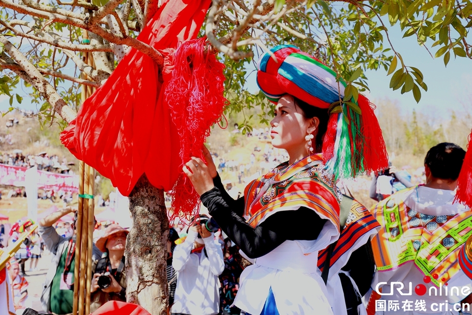 貴州鐘山：萬(wàn)人齊聚跳花樹(shù)祭祖先_fororder_微信圖片_20240325164156