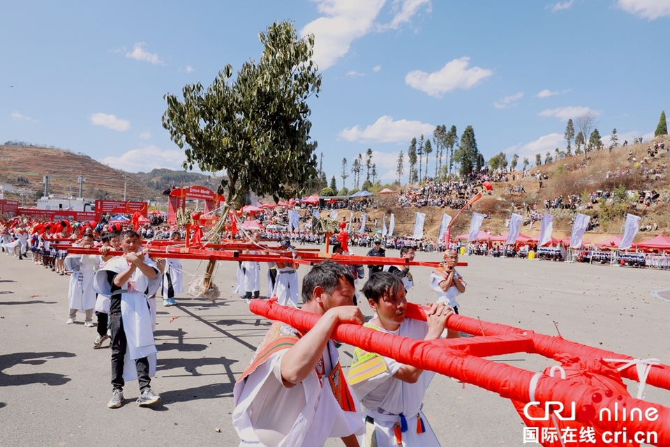 貴州鐘山：萬(wàn)人齊聚跳花樹(shù)祭祖先_fororder_微信圖片_20240325164111