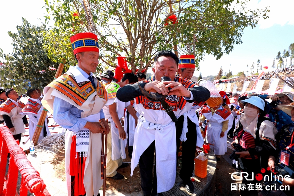 貴州鐘山：萬(wàn)人齊聚跳花樹(shù)祭祖先_fororder_微信圖片_20240325164141