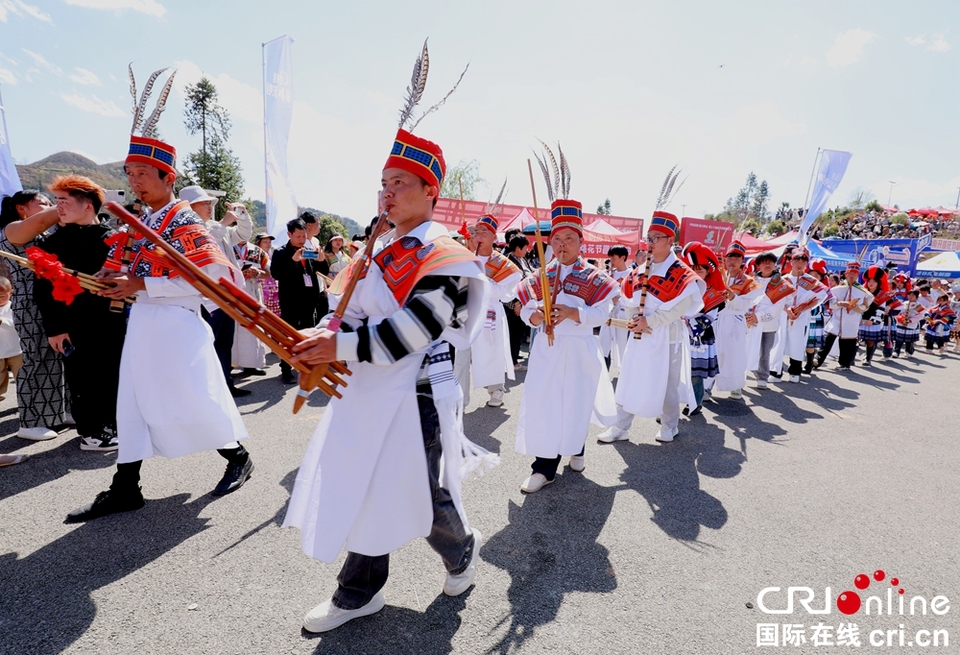 貴州鐘山：萬(wàn)人齊聚跳花樹(shù)祭祖先_fororder_微信圖片_20240325164119
